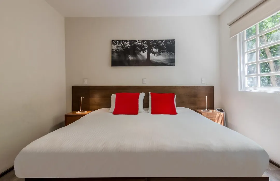 Om 686 Urban Lofts Narvarte-1